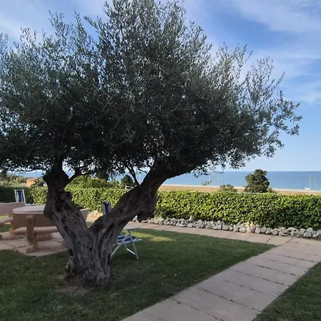 Falipe, Al Mare In Campagna! Silvi Paese